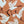 Load image into Gallery viewer, Flocking Spectacular Coral Cushion
